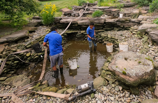 Cleaner Pond