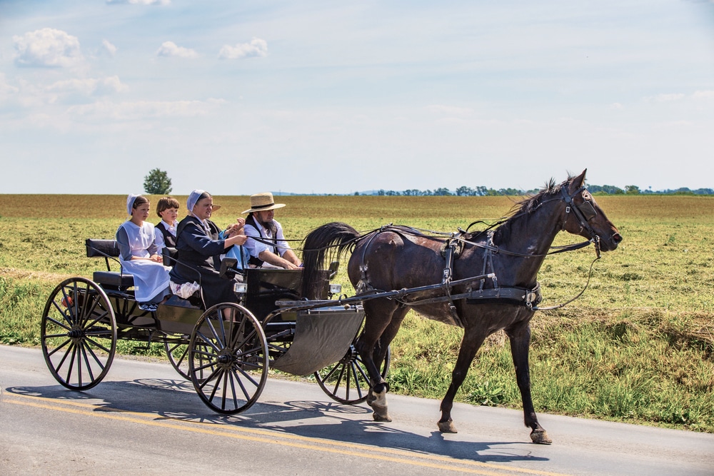 Do Amish Pay Taxes in the US