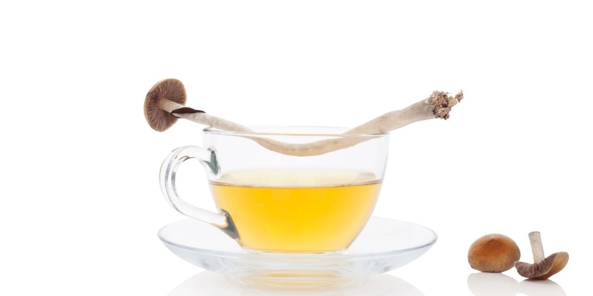 Magic Mushroom Tea