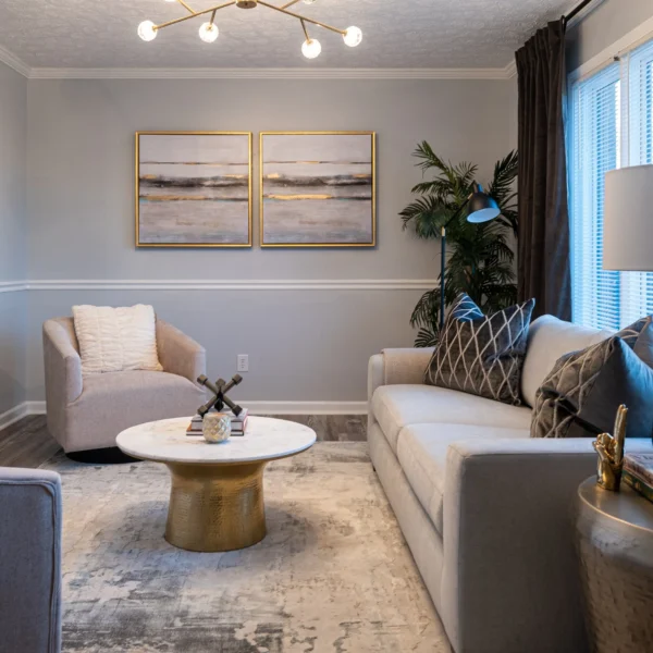 Before and After Living Room Transformations